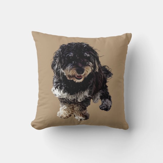 Coussin Havanais (Recto)