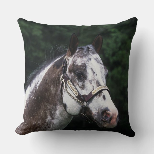 Coussin Headshot 2 de cheval d'Appaloosa (Recto)