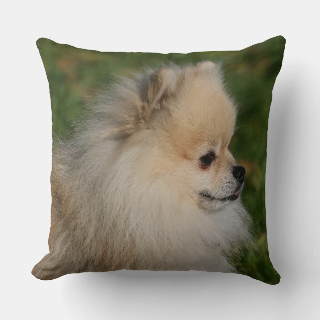 Coussin Headshot 2 de Pomeranian (Recto)
