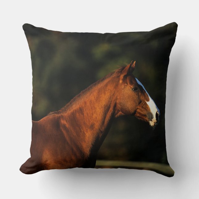 Coussin Headshot de cheval de pur sang (Recto)
