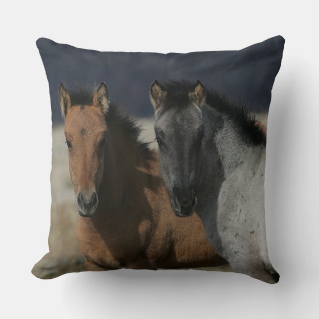 Coussin Headshot de poulain de mustang (Recto)
