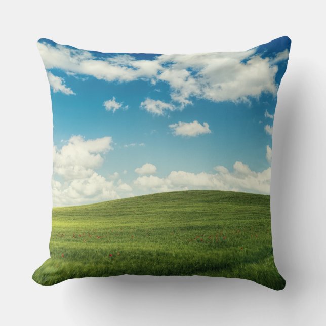 Coussin Herbe de champ Nature   (Recto)