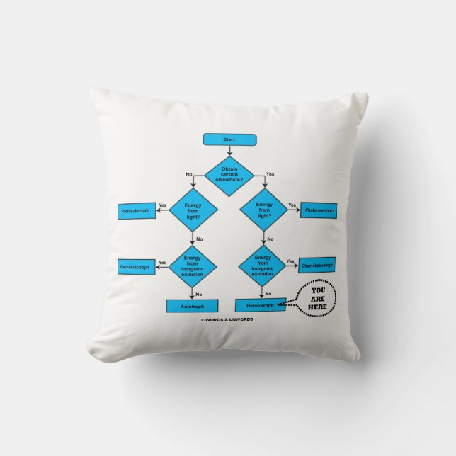 Coussin Hétérotrophe diagramme de flux Vous êtes ici Humou (Recto)