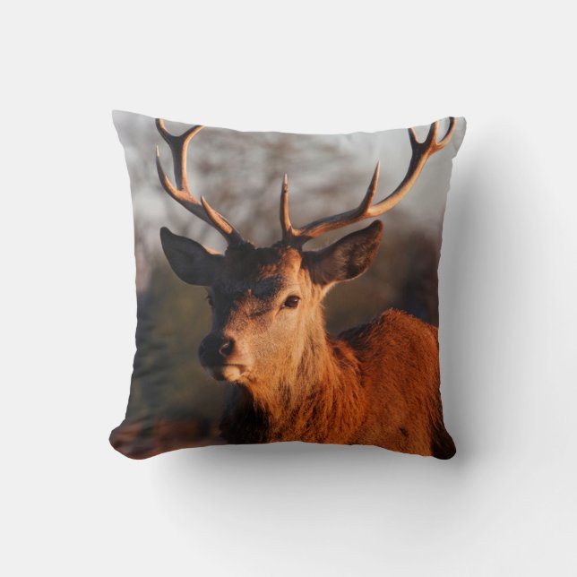 COUSSIN HI DEER (Recto)