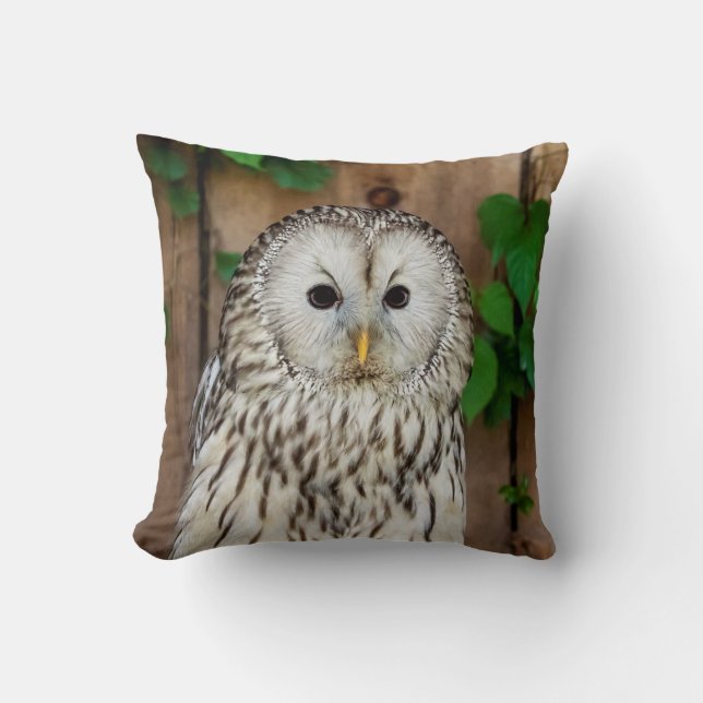 Coussin Hibou barré (Recto)
