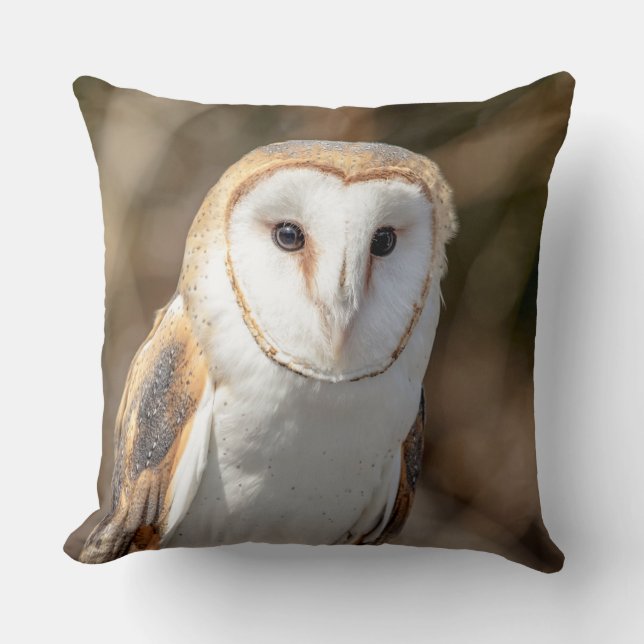 Coussin Hibou de grange (Recto)