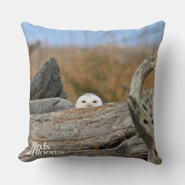 Coussin Hibou de Milou (Recto)