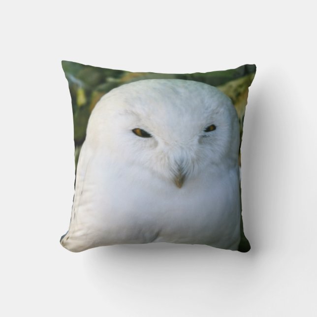 Coussin Hibou des neiges (Recto)