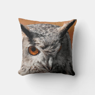Coussin Hibou Stare