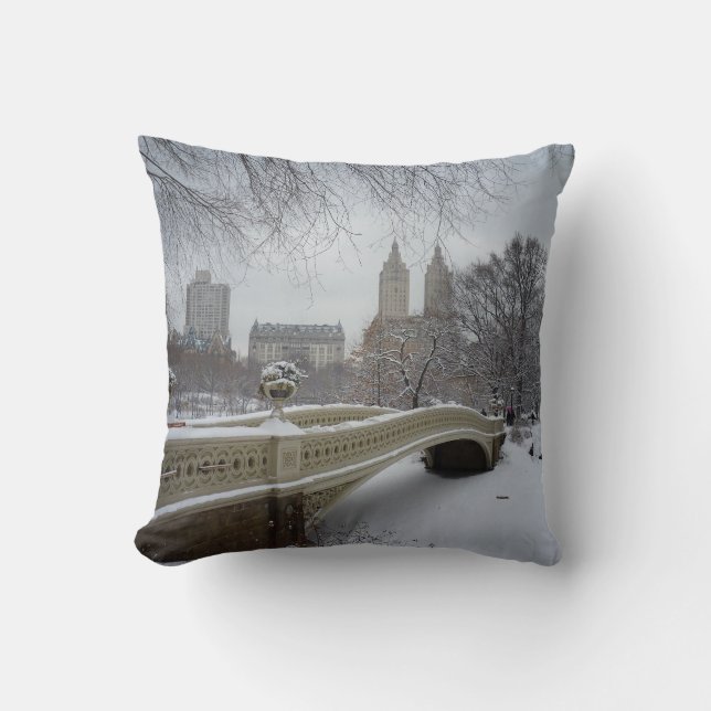 Coussin Hiver - Central Park - New York City (Recto)