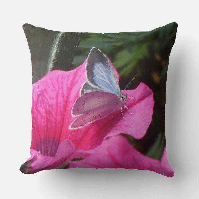 Coussin Holly Blue Butterfly on Pink Flower Throw Pillow (Recto)