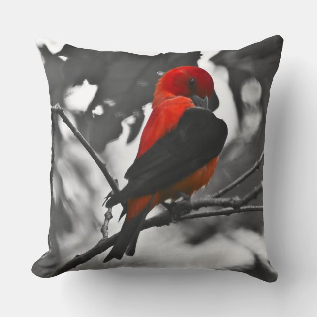 Coussin Homme Scarlet Tanager (Recto)