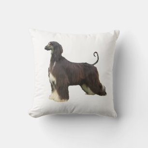 Coussin hound afghan plein.png