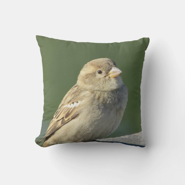 Coussin House Sparrow Photo Petit oiseau Brown Nature sauv (Recto)