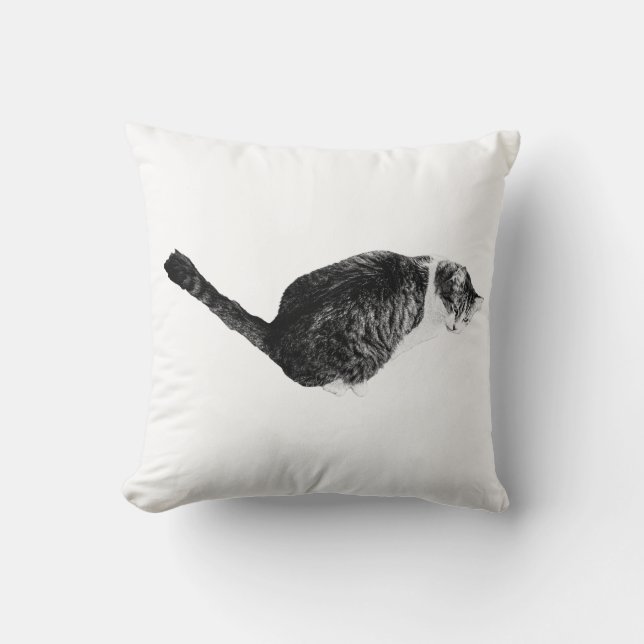 Coussin Humeur de sieste, texture douce (Recto)