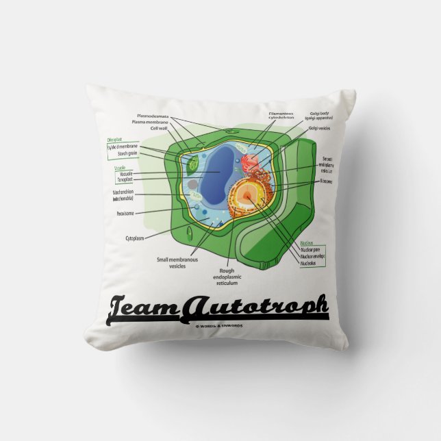 Coussin Humour de biologie cellulaire Plante de l'équipe A (Recto)