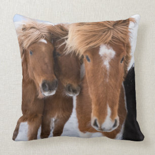 Coussin Icelandic Horses nuzzle