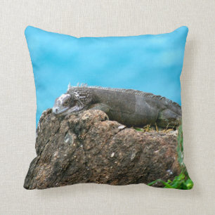 Coussin Iguane de regard gentil de St Thomas U.S.V.I