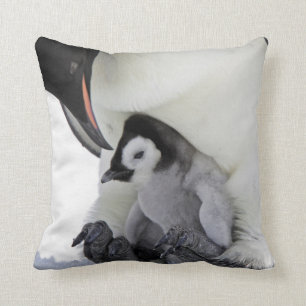 Coussin Île de colline de neige du pingouin d'empereur  