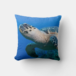 Coussin Îles Caïmans, Little Cayman Island, Sous l'eau 2
