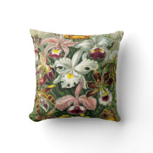 Illustration botanique d'orchidées du cru 1865