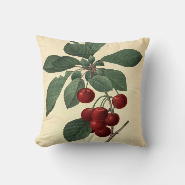 Coussin Illustration botanique Royal Cherry (Recto)