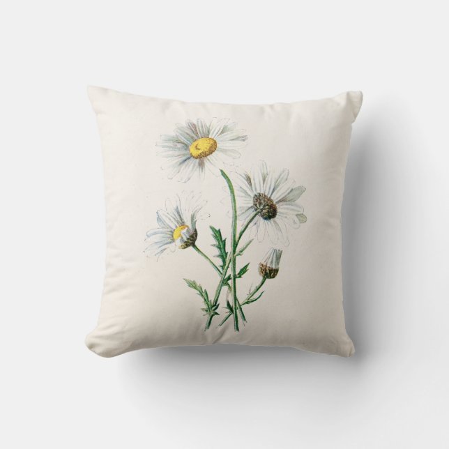 Coussin Illustration de fleur sauvage de marguerites du (Recto)