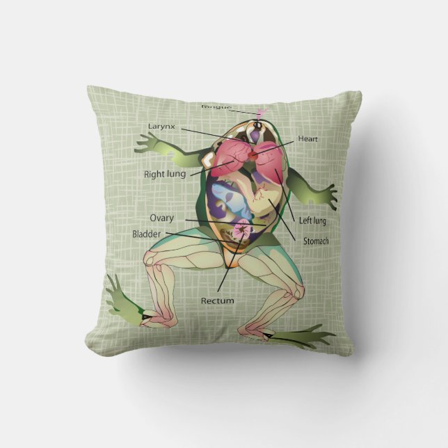 Coussin Illustration de l'anatomie de la grenouille (Recto)