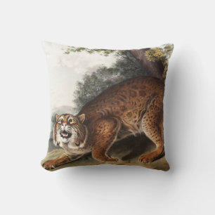 Coussin Illustration du chat sauvage américain (Lynx rufus