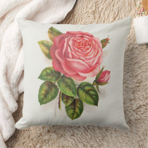 Coussin Illustration Florale Rose Rose Antique Cottagecore