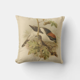 Coussin Illustration vintage de Woodchat Shrike
