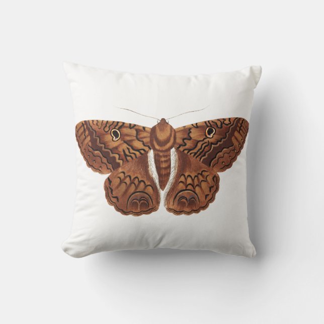 Coussin Illustration vintage du papillon Brown (Recto)