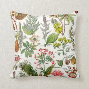 Coussin Illustrations botaniques