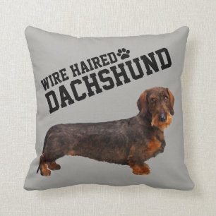 Coussin illustré par teckel d'une chevelure de fi