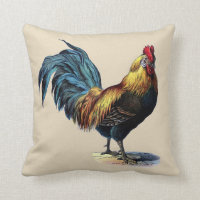 Image colorée de cru de poulet de pays de coq