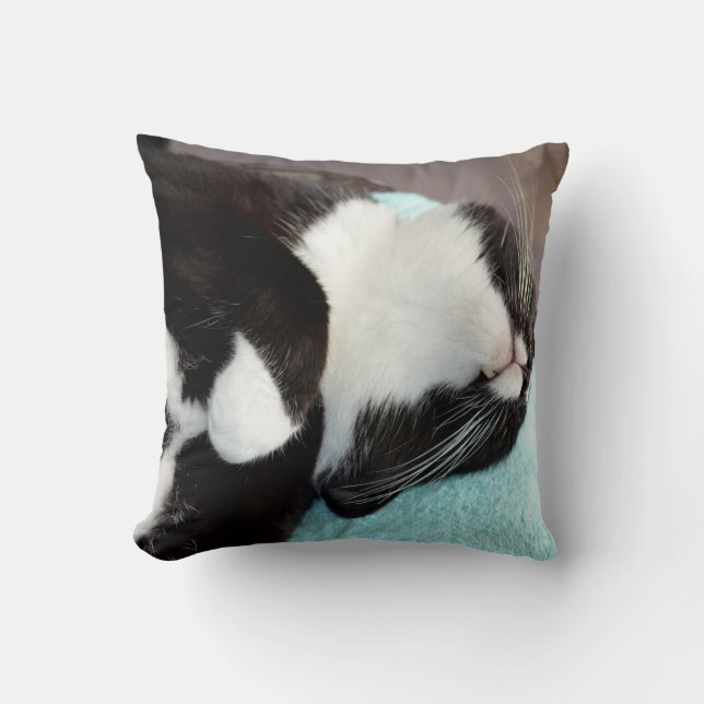 Coussin image de minou de vue de menton de chat de smoking (Recto)