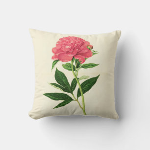 Coussin Impression Botanique vintage, Peine rose corail