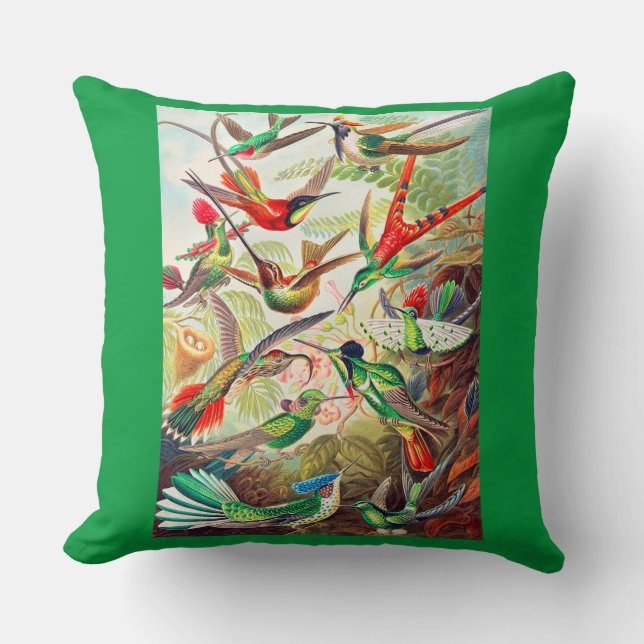 Coussin Imprimerie de colibris 1904 (Recto)