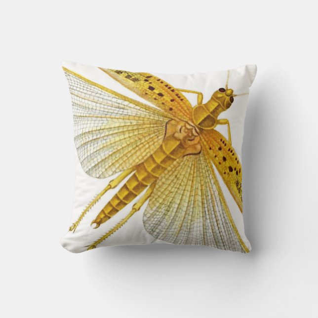 Coussin Insecte/insecte/cigale d'or/jaunes de cricket 20" (Recto)