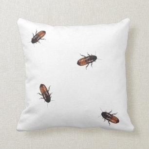 Coussin Invasion de cancrelat