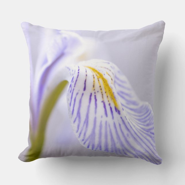 Coussin Iris sauvage mol (Recto)