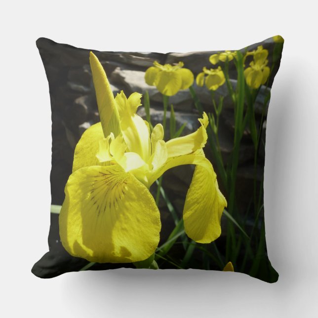 Coussin Irises Jaunes Bright Spring Floral (Recto)