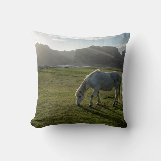 Coussin islandais de cheval (Recto)
