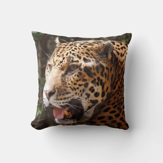 Coussin Jaguar (Recto)