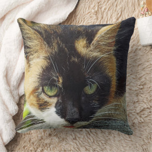 COUSSIN "J'AI MES YEUX VERTS SUR VOUS !"/CAT HEAD-SHOT