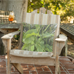 Coussin Jardin Jardin Closeup Nature extérieure Photo