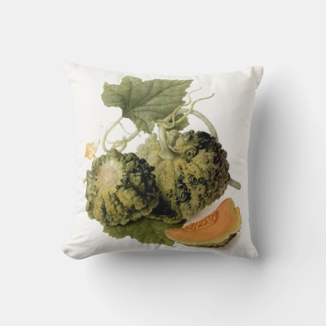 Coussin Jardin vintage Gourde & Vin (Recto)