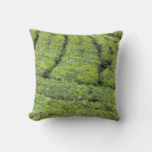 Jardins de thé de Munnar sur