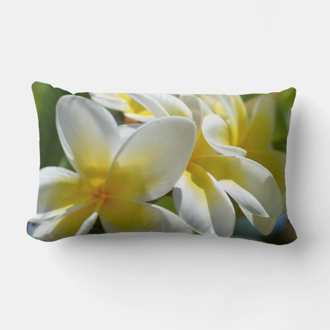 Coussin jaune de Frangipani (Recto)