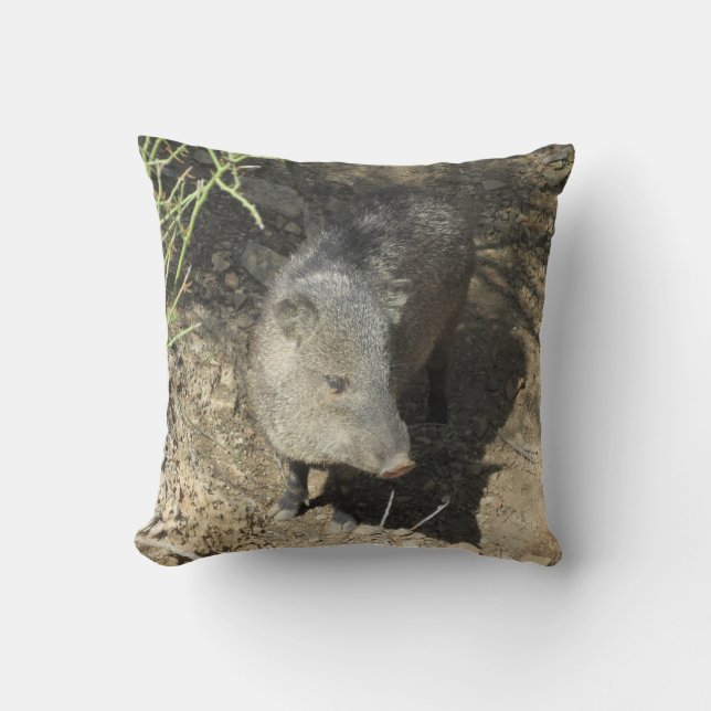 Coussin Javelina (Recto)